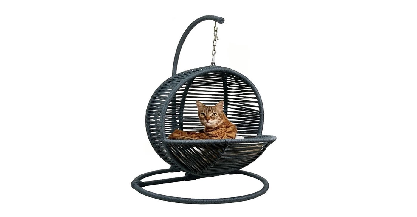 Kedi Salıncağı
